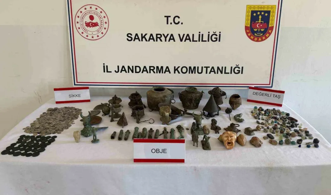 Sakarya’nın Geyve ilçesinde jandarma ekiplerince düzenlenen “Anadolu Mirası” operasyonunda, bir