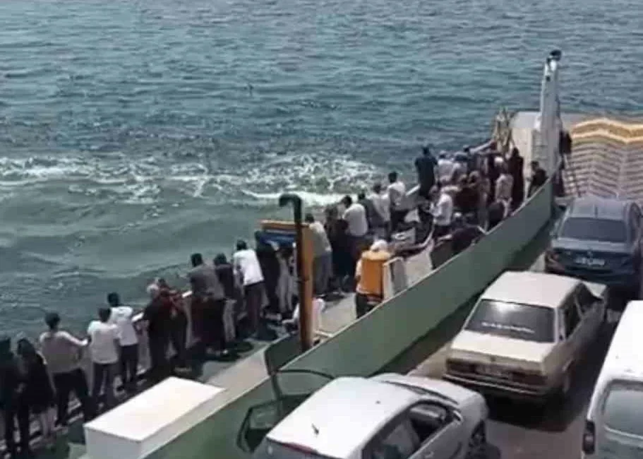 Kocaeli’de seyir halindeki feribottan denize düşen yolcu, büfe çalışanı personelin