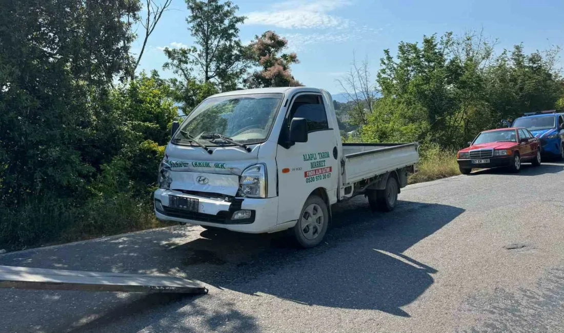 Zonguldak’ın Alaplı ilçesinde meydana gelen trafik kazasında, freni boşaldığı iddia