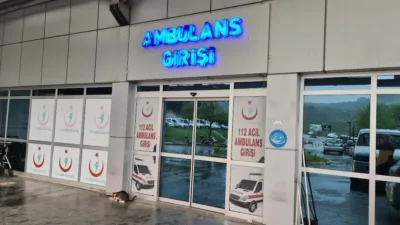 Zonguldak’ın Alaplı ilçesinde ıhlamur toplamak için çıktığı ağaçtan 7 metre