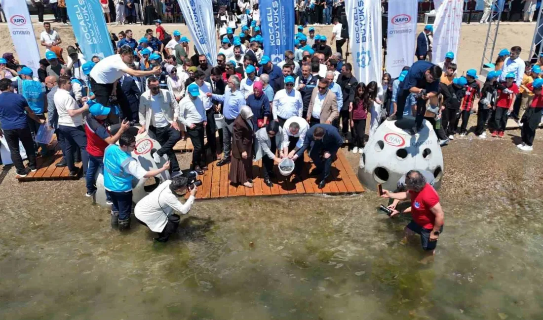 Kocaeli’de “Dipten Diriliş” projesi kapsamında İzmit Körfezi’ne 100 yapay resif