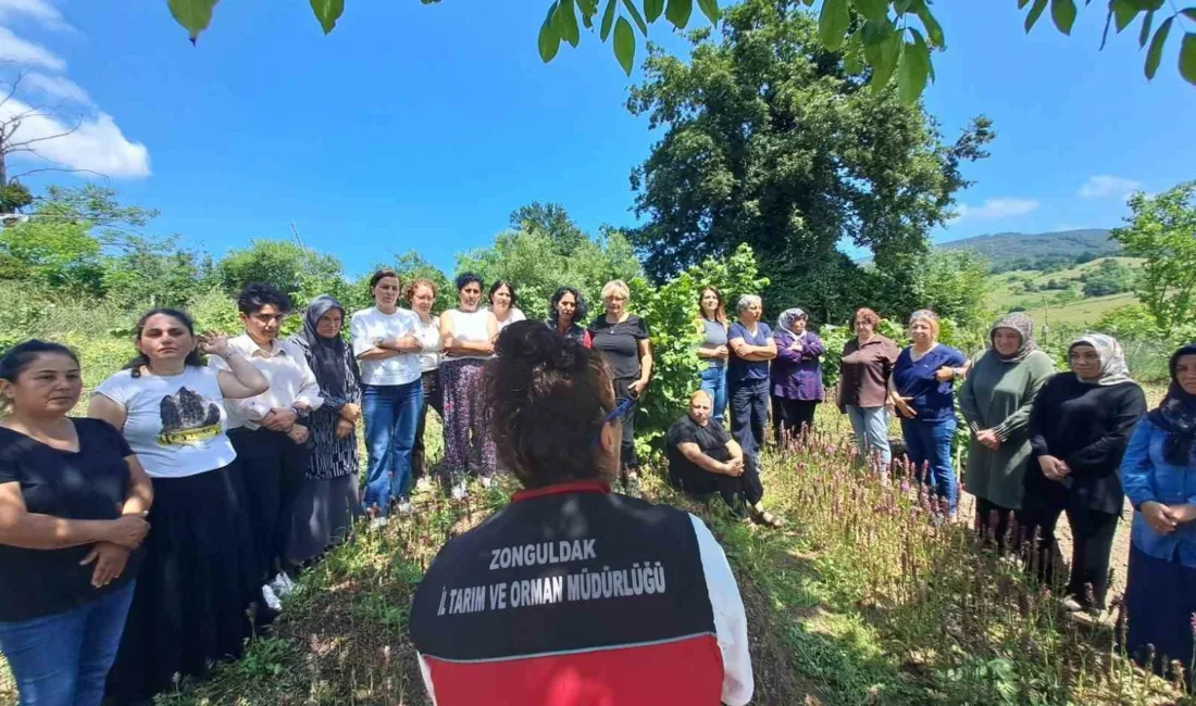 Bölgesel kalkınma, kadın istihdamı ve sürdürülebilir tarım hedefleri doğrultusunda hayata