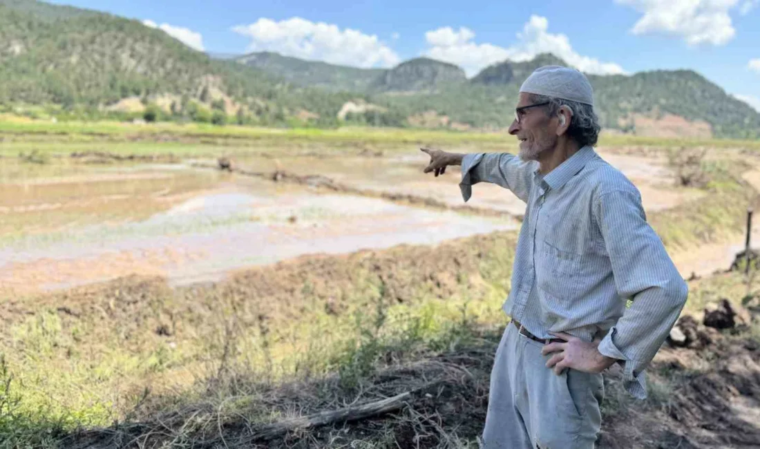 Karabük’te etkili olan sağanak yağmurun ardından ormandan gelen yaka seli,