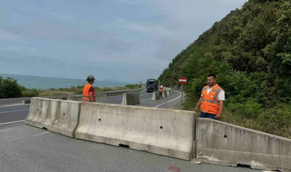 Zonguldak’ın Alaplı ilçesinde sık sık trafik kazalarıyla gündeme gelen ve