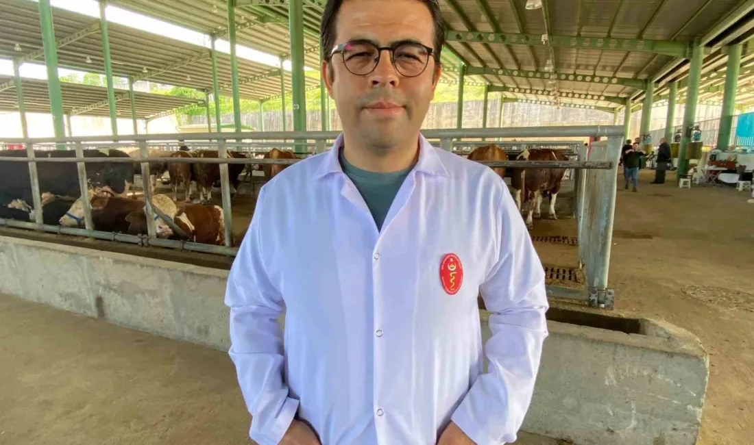 Havaların ısınmasıyla birlikte kene vakalarında artış yaşanırken, uzmanlar özellikle kırsal