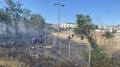 Kocaeli’nin Körfez ilçesi TEM Otoyolu kenarında seyir halindeki saman yüklü