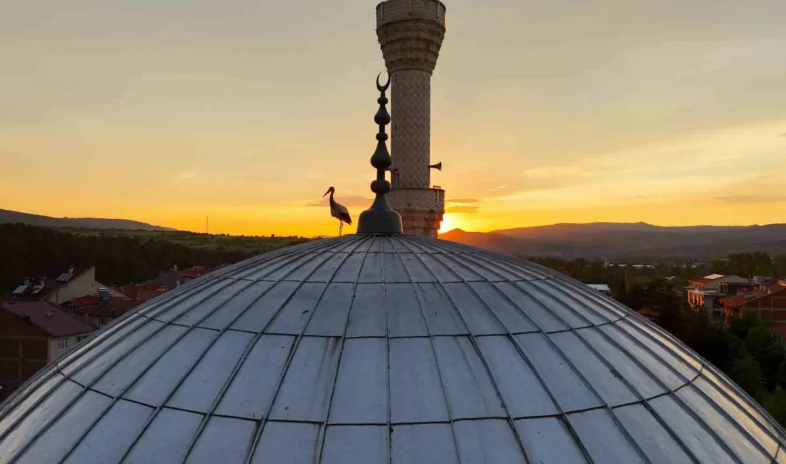 Kastamonu’nun İhsangazi ilçesinde gün batımı sırasında cami kubbesine konan leylekler