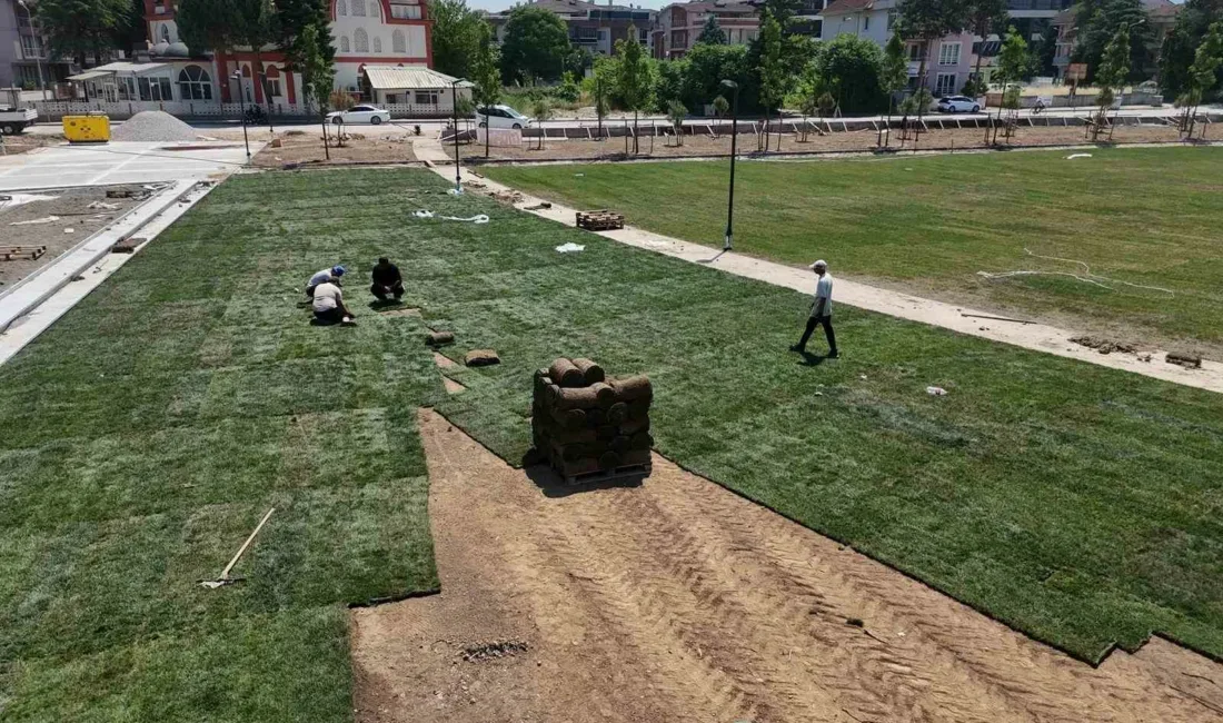 Düzce’nin en büyük parkı olacak Millet Bahçesi 2’de çalışmalar aralıksız