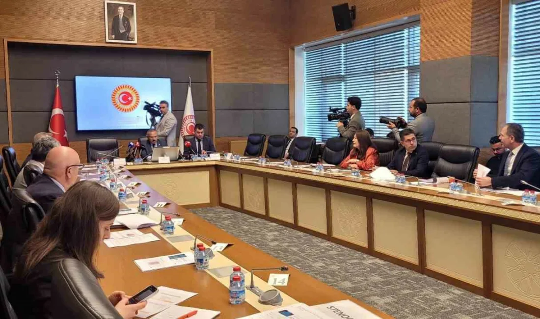 TBMM Şanlıurfa ve Kahramanmaraş Okul Olaylarını ve Dijital Riskleri Araştırma