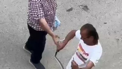 Sakarya’nın Kaynarca ilçesinde bir evin içine giren yılan, belediye personelince