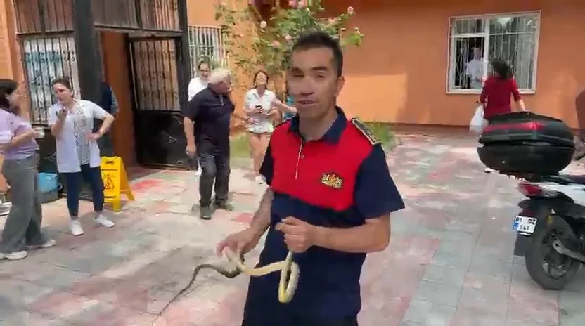 Zonguldak’ın Alaplı ilçesinde sağlık ocağına giren yılan, itfaiye ekiplerince yakalanarak