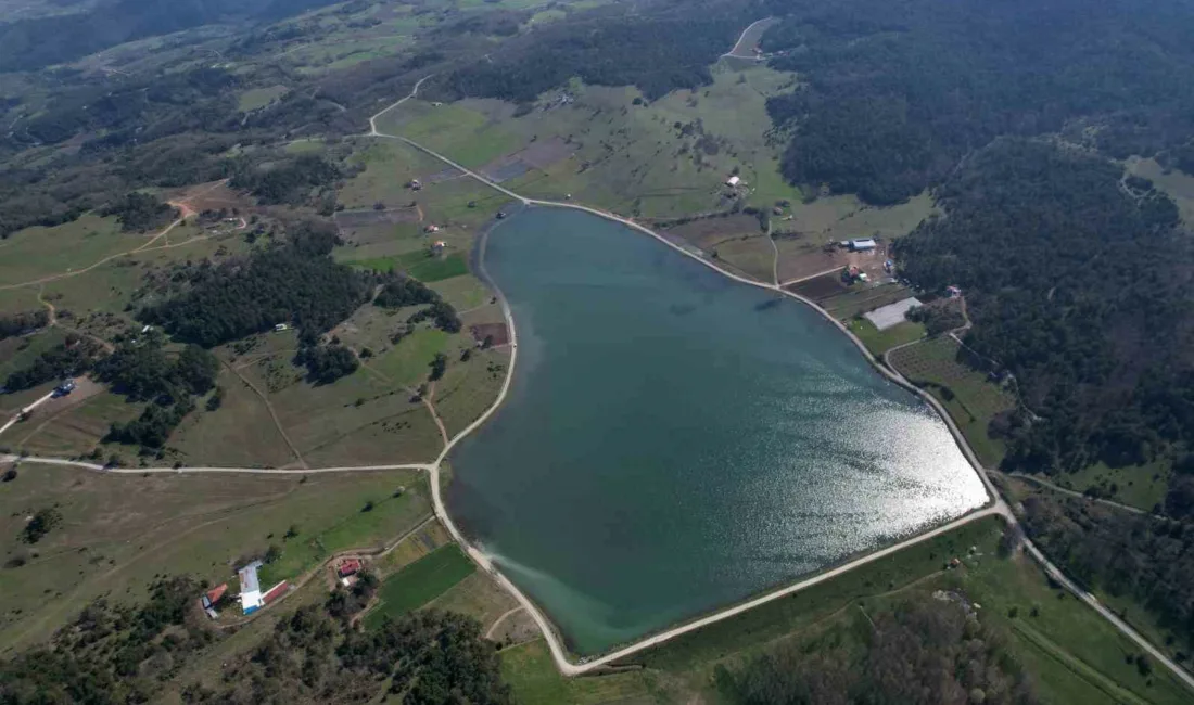 Sakarya’nın Pamukova ilçesinde 780 rakımda bulunan yapay göletli yayla, doğal