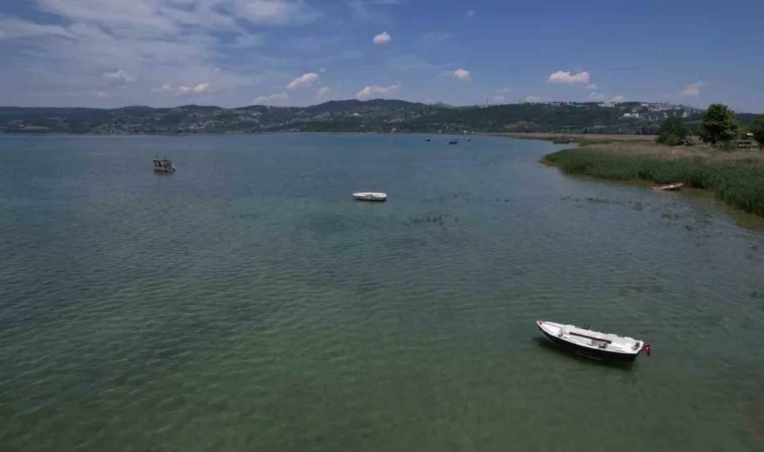 Sakarya ve Kocaeli’nin en önemli içme suyu havzası olan Sapanca