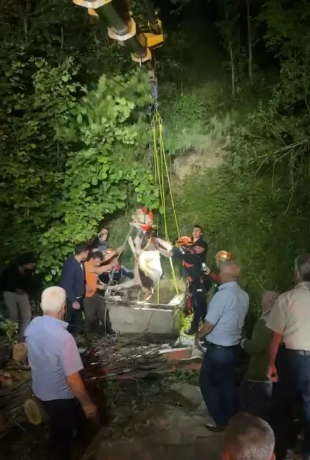 Kastamonu’nun İnebolu ilçesinde su kuyusuna düşen inek, ekiplerin saatlerce süren