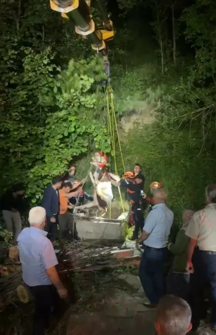 Kastamonu’nun İnebolu ilçesinde su kuyusuna düşen inek, ekiplerin saatlerce süren