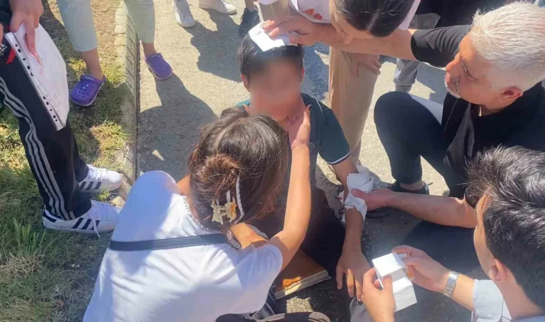 Karabük’ün Safranbolu ilçesinde takdir belgesi almanın sevinciyle yolun karşısına geçmeye