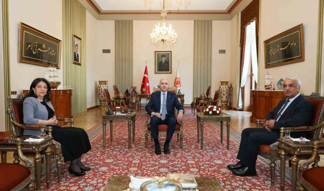 Türkiye Büyük Millet Meclisi Başkanı Numan Kurtulmuş, TBMM Başkanvekili ve