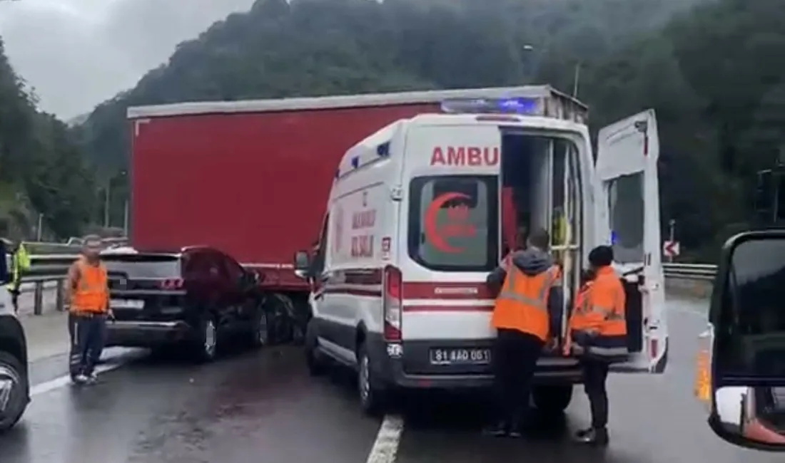 TEM Otoyolu’nun Bolu Dağı geçişinde seyir halindeki tırdan ayrılarak orta