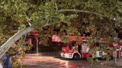 Kocaeli’nin İzmit ilçesinde çınar ağacından kopan dalın tramvay hattına düşmesiyle