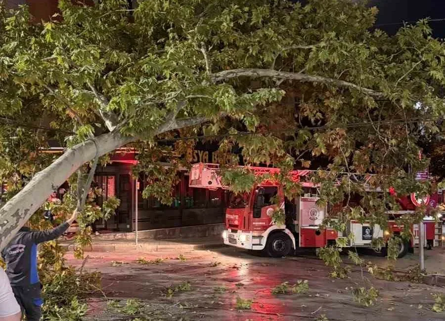 Kocaeli’nin İzmit ilçesinde çınar ağacından kopan dalın tramvay hattına düşmesiyle