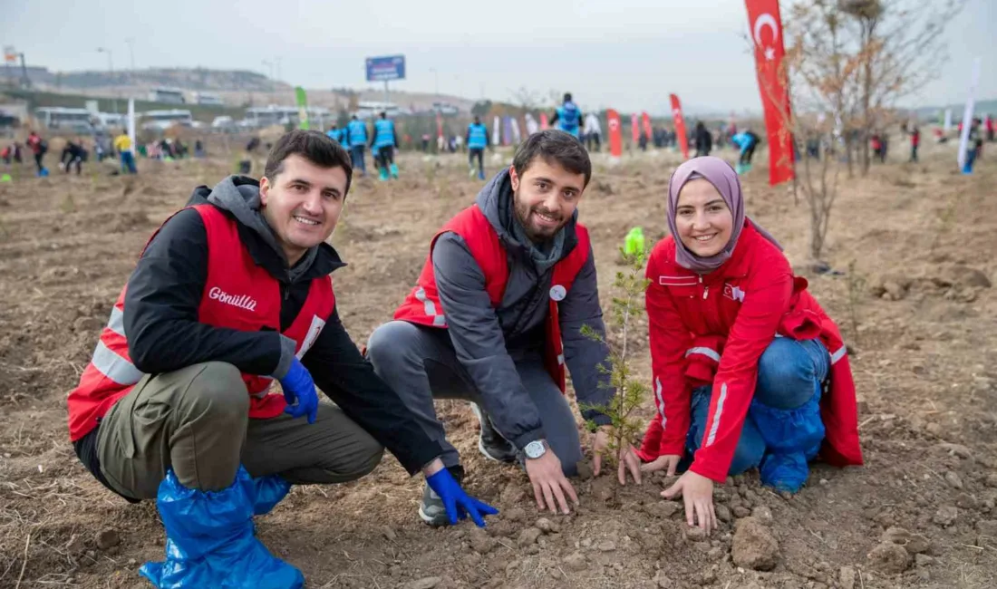 Türk Kızılay ve Orman Genel Müdürlüğü iş birliğiyle geçtiğimiz yıl