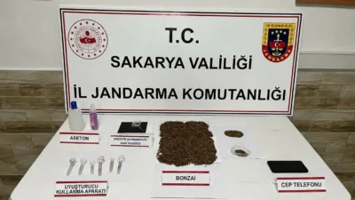 Sakarya’da jandarma ekiplerince düzenlenen operasyonda 212 kök kenevir bitkisi ile