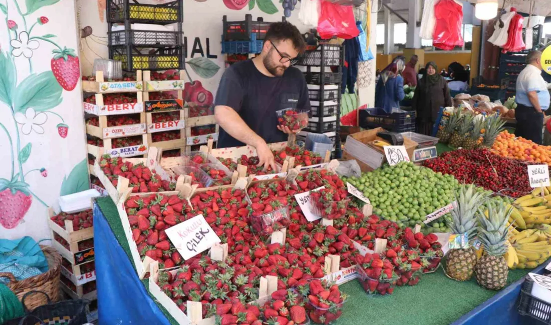 Bolu’da pazar tezgahlarında çeşitli yaz meyveleri yerini aldı. Pazarcı esnafı,