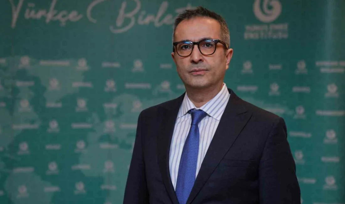 Yunus Emre Enstitüsü (YEE), Türk dilinin, kültürünün ve medeniyet birikiminin