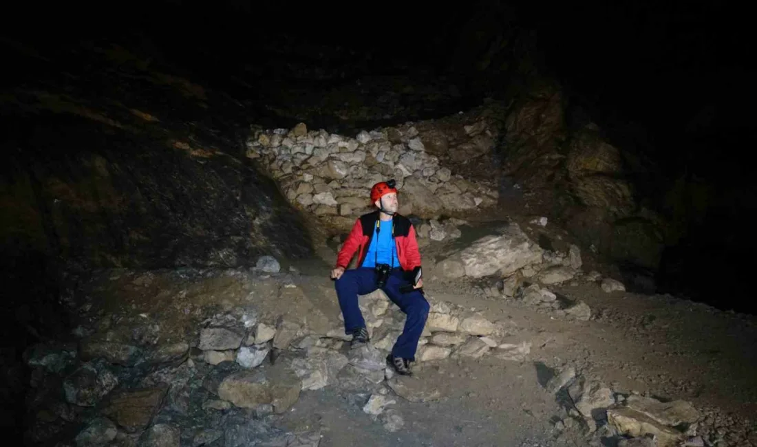 Kastamonu’da akademisyenler tarafından yapılan çalışmada, Pınarbaşı ilçesindeki Küre Dağları Milli