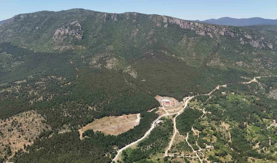 Karabük’ün Safranbolu ilçesinde 35 gündür kayıp olarak aranan 22 yaşındaki