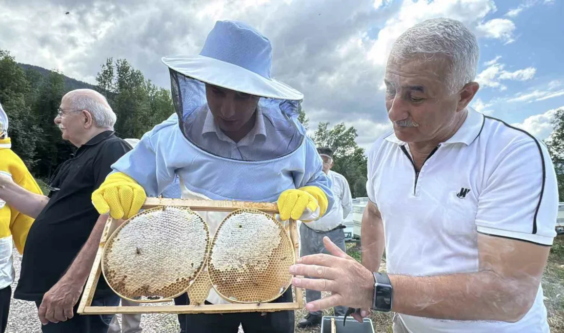 Karabük’ün Yenice ilçesinde kendine özgü aroması olan ve Avrupa Birliği