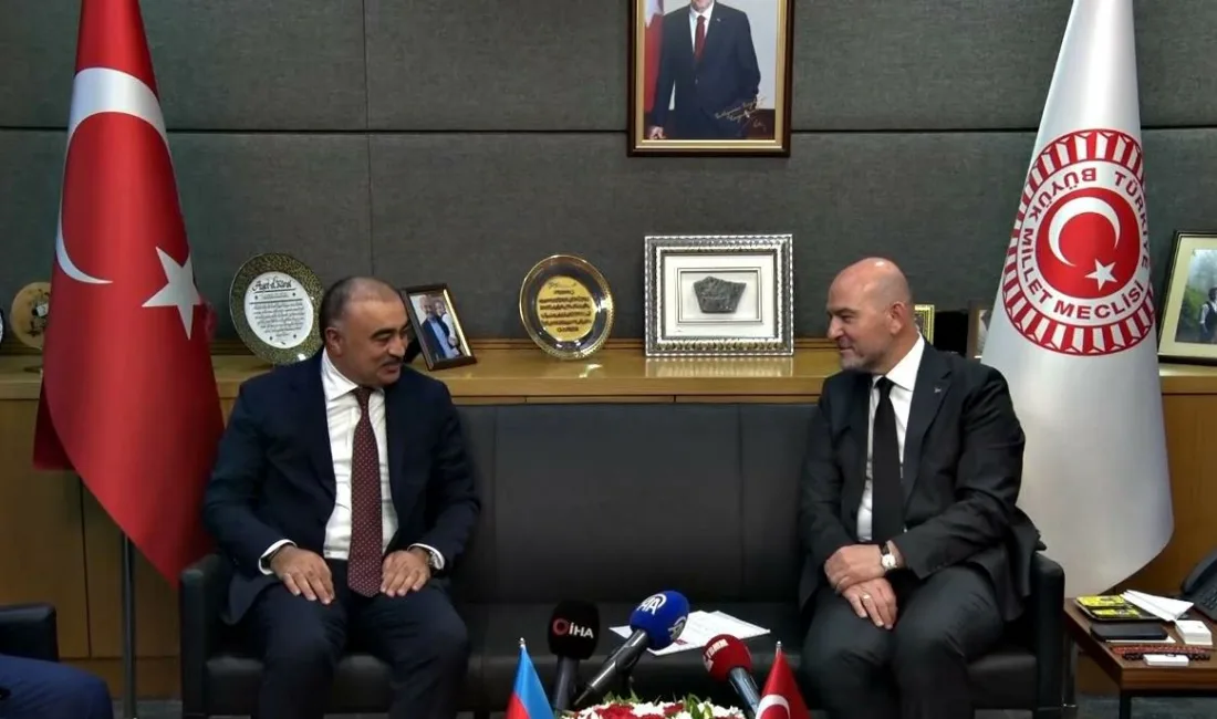 AK Parti İstanbul Milletvekili ve İçişleri Komisyonu Başkanı Süleyman Soylu,