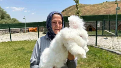 Elmadağ Belediyesi’nin Renkli Köy Projesi kapsamında oluşturulan Tavşan Bahçesi’nde Ankara