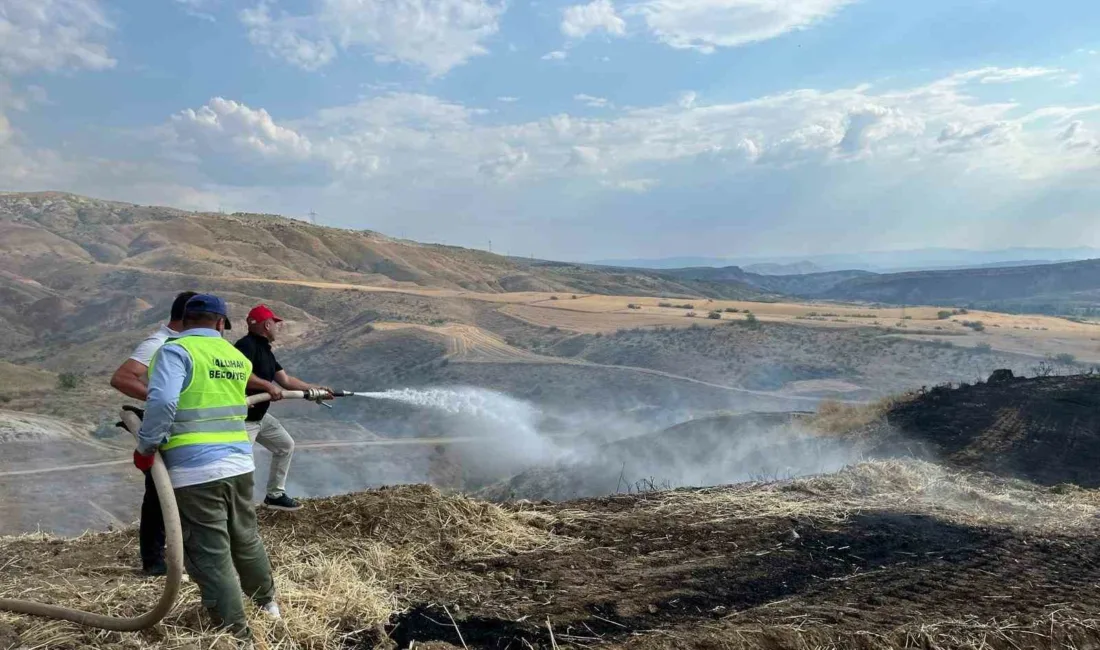 Ankara’nın Nallıhan ilçesindeki bir mahallede arazide çıkan yangın, itfaiye ekiplerinin