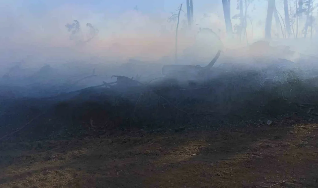 Karabük’ün Ovacık ilçesinde otomobilde çıkan ve ormanlık alana sıçrayan yangın,