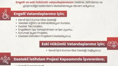 Çalışma ve Sosyal Güvenlik Bakanı Vedat Işıkhan, Engelli ve Eski