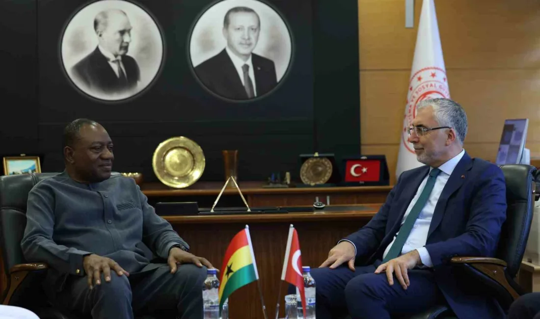 Çalışma ve Sosyal Güvenlik Bakanı Vedat Işıkhan, Gana Çalışma, İşler