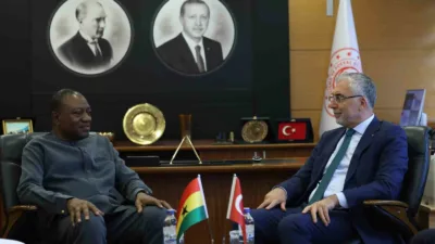 Çalışma ve Sosyal Güvenlik Bakanı Vedat Işıkhan, Gana Çalışma, İşler