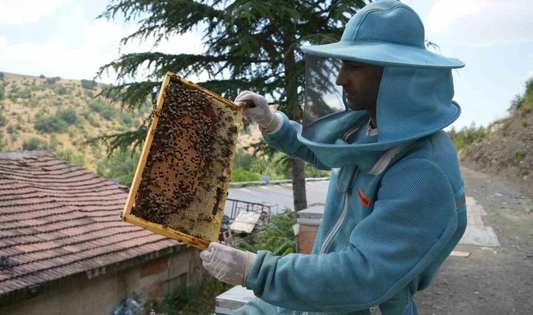 Ankara’da 150 kovanıyla yılda yaklaşık 3 ton bal üretimi yapan