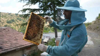 Ankara’da 150 kovanıyla yılda yaklaşık 3 ton bal üretimi yapan