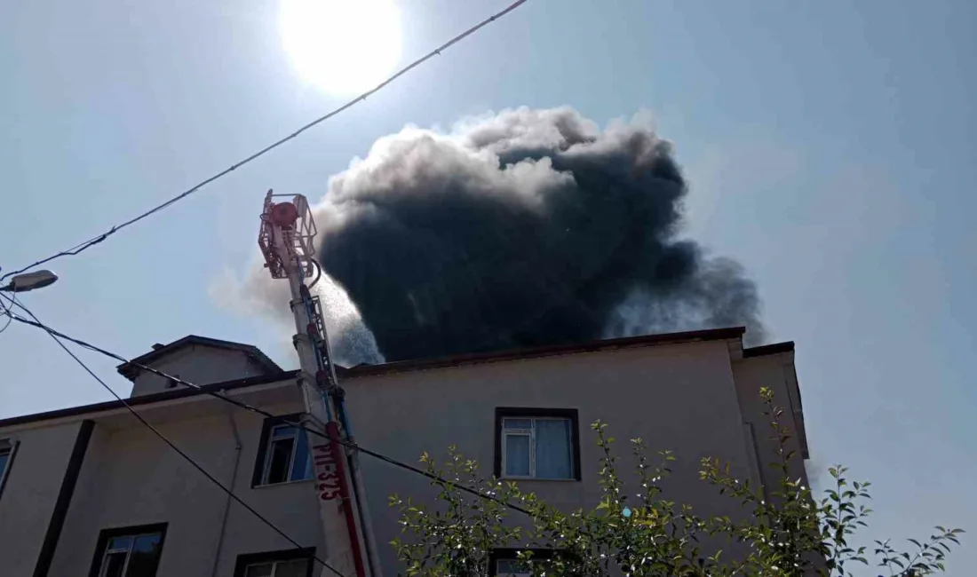 Bolu’nun Gerede ilçesinde bir apartmanın enerji odasında çıkan ve çatıya