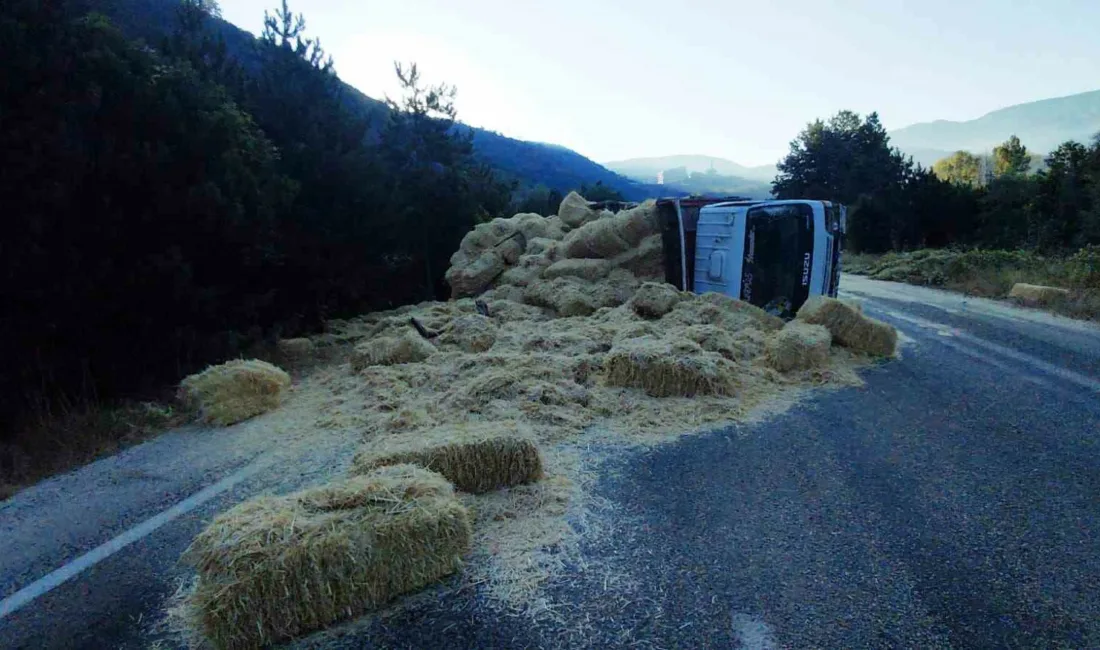 Bolu’nun Mudurnu ilçesinde iki kamyonun kafa kafaya çarpıştığı kazada 2