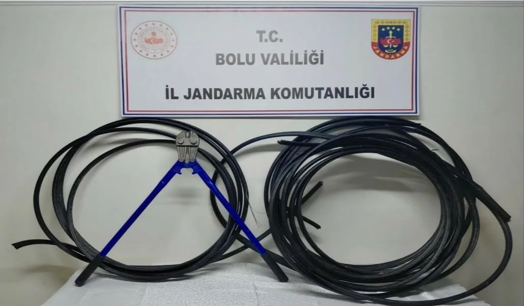 Bolu’da, haberleşme ve enerji nakil kablosu hırsızlığı şüphelisi M.B., JASAT