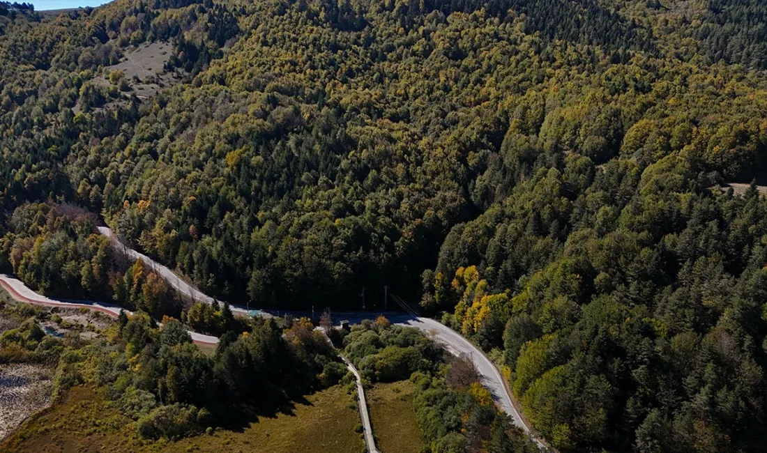 Bolu’da, orman yangını riskine karşı 15 Temmuz-30 Eylül tarihleri arasında