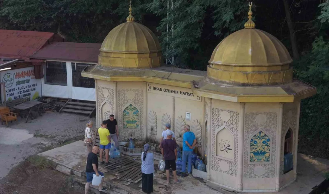 Düzce-Zonguldak kara yolu güzergahındaki ormanlık alanda yer alan doğal kaynak