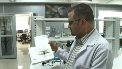 Son günlerde sosyal medyada ’çekirge istilası’ iddialarıyla gündeme gelen görüntüleri