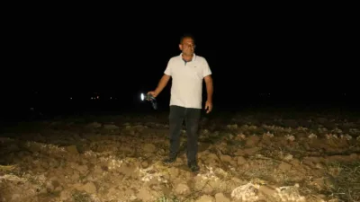 Kastamonu’nun Taşköprü ilçesinde hasadı yapılan ve tarlalarda kurumaya bırakılan dünyaca