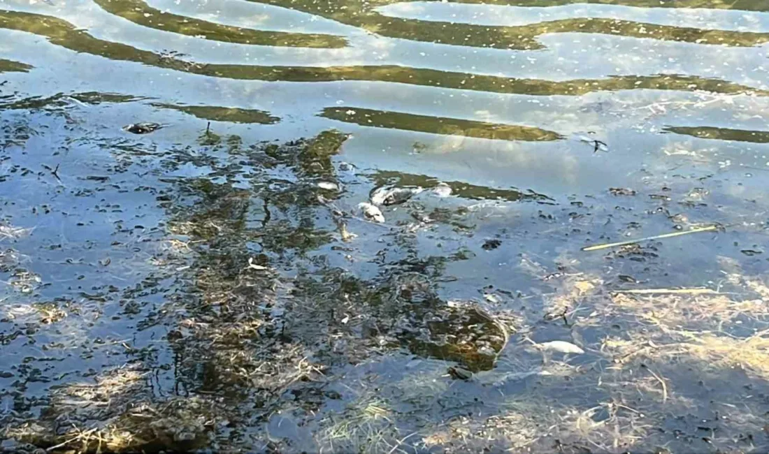 Bolu’nun incisi olarak bilinen ve kent merkezine 10 kilometre uzaklıkta