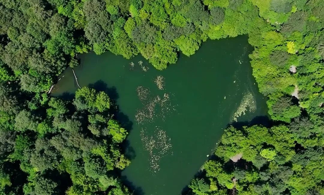 Bolu’nun dünyaca ünlü doğa harikası Yedigöller Milli Parkı havadan görüntülendi.
