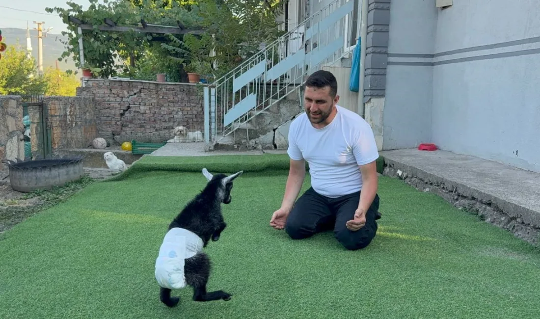 Karabük’te demir çelik fabrikasında çalışan adam ile eşi, petshopta karşılaştıkları